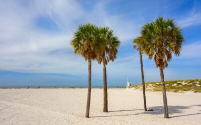 Things To Do In North Clearwater Beach!
