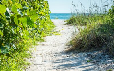 5 Best Anna Maria Island Beaches To Visit!