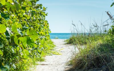 Bean Point Anna Maria Island: The Island’s Hidden Gem!