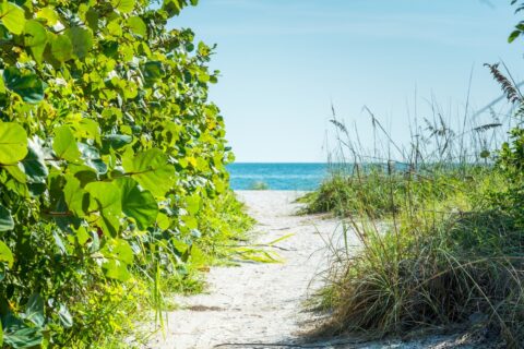 Bean Point Anna Maria Island: The Island’s Hidden Gem