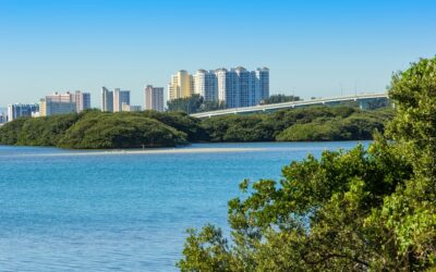 The Best Cities Near Clearwater Florida To Visit!