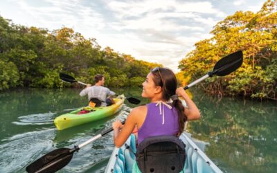 Best Places To Kayak In Tampa!