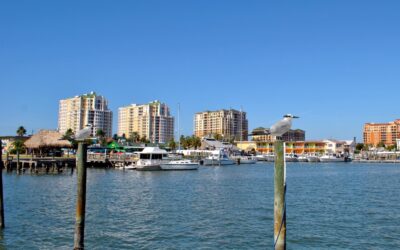9 Must-Visit Clearwater Beach Restaurants!