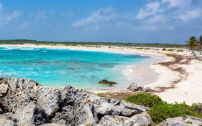 Is Cozumel Safe?  Things To Know Before Visiting!