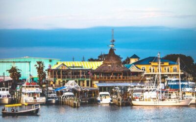 5 Best Dolphin & Sunset Cruises In Destin Florida!