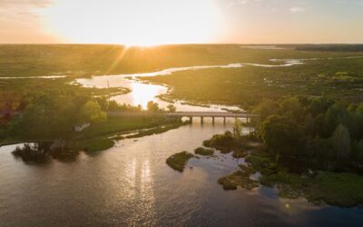 Is Clermont Florida Safe?  Things To Know Before Visiting!