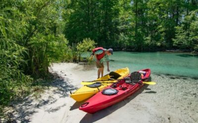 10 Best Places For Kayaking With Manatees In Florida!