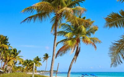 Is Key West Safe For Travelers? Everything You Need To Know!
