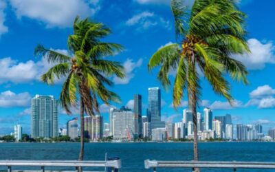 25 Best City Tours & Outdoor Activities In Miami!