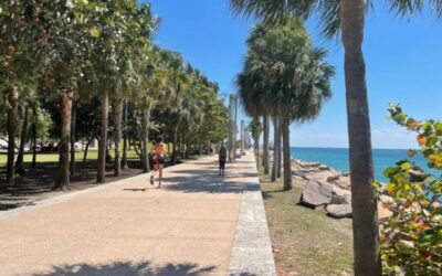 Is Miami Safe? Everything To Know Before Visiting!