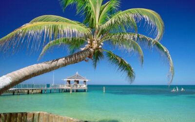 Is Roatan Safe?  Things To Know Before Visiting!