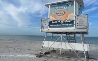 Sand Key Park: Things To Know Before Visiting!