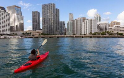 5 Best Kayak Tours In Miami For An Adventure!