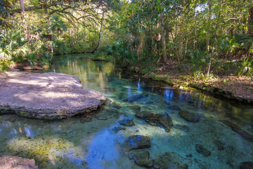 This small group clear kayak tour in Florida leads you through the crystal-clear waters of Rock Springs for around 2 hours.
